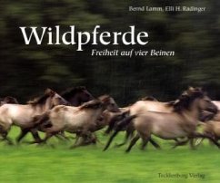 Wildpferde - Lamm, Bernd
