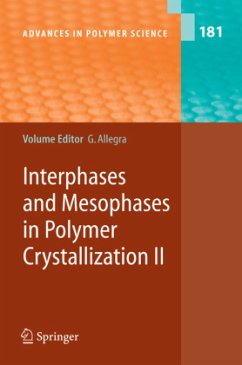 Interphases and Mesophases in Polymer Crystallization II - Allegra, Giuseppe (ed.)