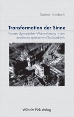 Transformationen der Sinne - Friedrich, Sabine