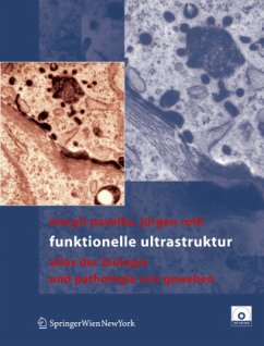Funktionelle Ultrastruktur - Pavelka, Margit;Roth, Jürgen