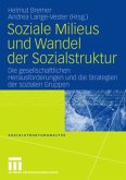 Soziale Milieus und Wandel der Sozialstruktur