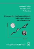 Förderung der Wettbewerbsfähigkeit in Kleinunternehmen durch Ökoeffizienz.