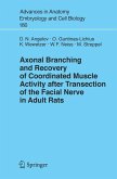 Axonal Branching and Recovery of Coordinated Muscle Activity after Transsection of the Facial Nerve in Adult Rats