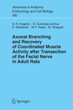 Axonal Branching and Recovery of Coordinated Muscle Activity after Transsection of the Facial Nerve in Adult Rats - Angelov, Doychin N.; Guntinas-Lichius, Orlando; Streppel, Michael; Neiss, Wolfram; Wewetzer, Konstantin