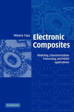 Electronic Composites - Taya, Minoru