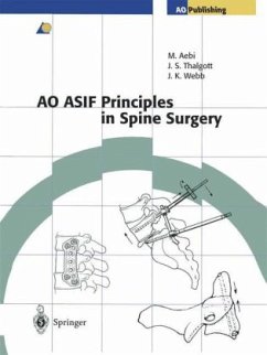 AO ASIF Principles in Spine Surgery - Aebi, Max / Thalgott, John S. / Webb, John K. (eds.)