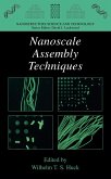 Nanoscale Assembly