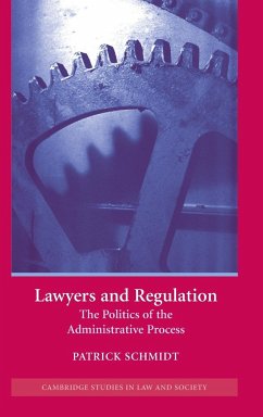Lawyers and Regulation - Schmidt, Patrick