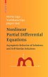 Nonlinear Partial Differential Equations - Bild 1