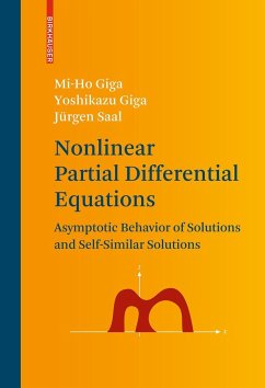 Nonlinear Partial Differential Equations - Giga, Mi-Ho;Giga, Yoshikazu;Saal, Jürgen