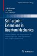 Self-adjoint Extensions in Quantum... - Bild 1