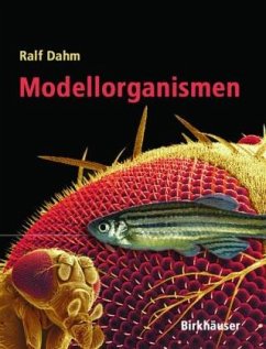 Cover Modellorganismen