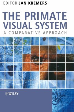 The Primate Visual System - Kremers, Jan (ed.)