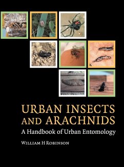 Urban Insects and Arachnids - Robinson, William H.