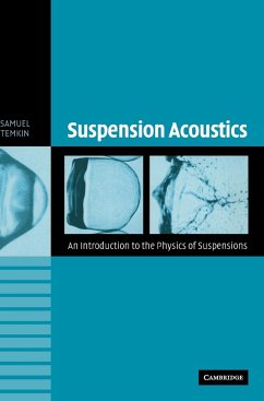 Suspension Acoustics - Temkin, Samuel