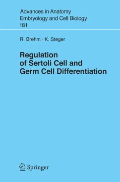 Regulation of Sertoli Cell and Germ Cell Differentiation - Brehm, Ralph;Steger, Klaus