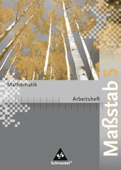5. Schuljahr, Arbeitsheft / Maßstab, Mathematik Realschule, Ausgabe 2005 Nordrhein-Westfalen, Bremen, Hamburg, Schleswig-H.
