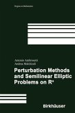 Perturbation Methods and Semilinear Elliptic Problems on R^n