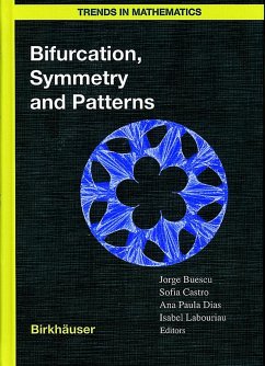 Bifurcation, Symmetry and Patterns - Buescu, Jorge / Castro, Sofia B.S.D. / Dias, A.P.S. / Labouriau, Isabel S. (eds.)