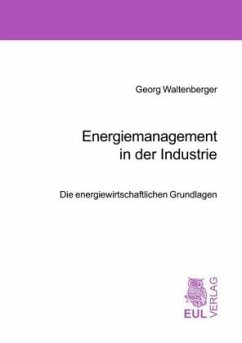 Energiemanagement in der Industrie - Waltenberger, Georg