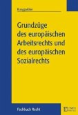 Grundzüge des Europäischen Arbeitsrechts und des europäischen Sozialrechts