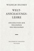 Weltanschauungslehre / Gesammelte Schriften 8