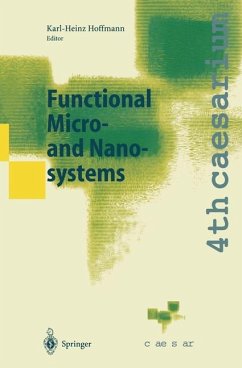 Functional Micro- and Nanosystems - Hoffmann, Karl-Heinz (ed.)