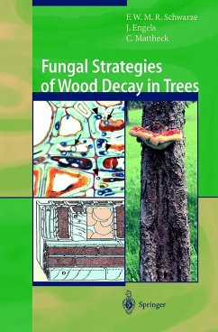 Fungal Strategies of Wood Decay in Trees - Schwarze, Francis W.M.R.;Engels, Julia;Mattheck, Claus