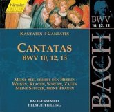 Kantaten BWV 10, 12, 13