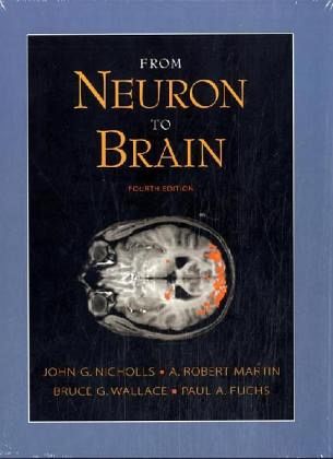 From Neuron to Brain From Neuron to Brain