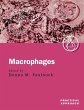 Macrophages - Bild 1
