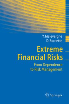 Extreme Financial Risks - Malevergne, Yannick;Sornette, Didier