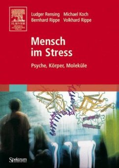 Cover Mensch im Stress