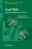 Small RNAs: