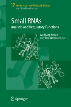 Small RNAs: - Nellen, Wolfgang / Hammann, Christian (eds.)