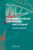 Free-Radical-Induced DNA Damage and Its Repair