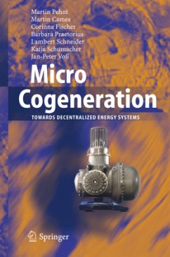 Micro Cogeneration - Pehnt, Martin