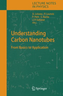 Understanding Carbon Nanotubes - Loiseau, A. / Launois, P. / Petit, P. / Roche, S. / Salvetat, J.-P. (eds.)