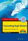 Jetzt lerne ich Cascading Style Sheets