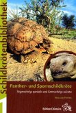 Panther- und Spornschildkröte