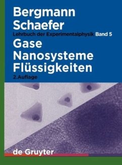 Gase, Nanosysteme, Flüssigkeiten - Bergmann, Ludwig / Schaefer, Clemens
