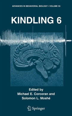 Kindling 6 - Corcoran, Michael E. / Mosh‚, Solomon L. (Hgg.)