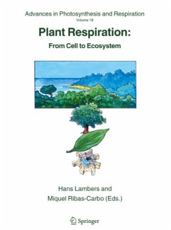 Plant Respiration - Lambers, Hans / Ribas-Carbo, Miquel (eds.)