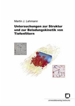 Untersuchungen zur Struktur und zur Beladungskinetik von Tiefenfiltern - Lehmann, Martin J.