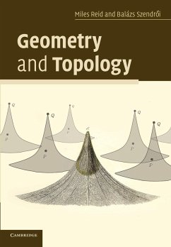 Geometry and Topology - Reid, Miles (University of Warwick); Szendroi, Balazs (Universiteit Utrecht, The Netherlands)