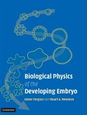 Biological Physics of the Developing Embryo