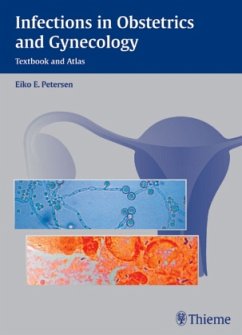 Infections in Obstetrics and Gynecology - Petersen, Eiko E.