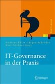 IT-Governance in der Praxis