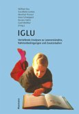 IGLU, Vertiefende Analysen zu Leseverständnis, Rahmenbedingungen und Zusatzstudien