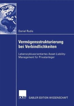 Vermögensstrukturierung bei Verbindlichkeiten - Rudis, Daniel